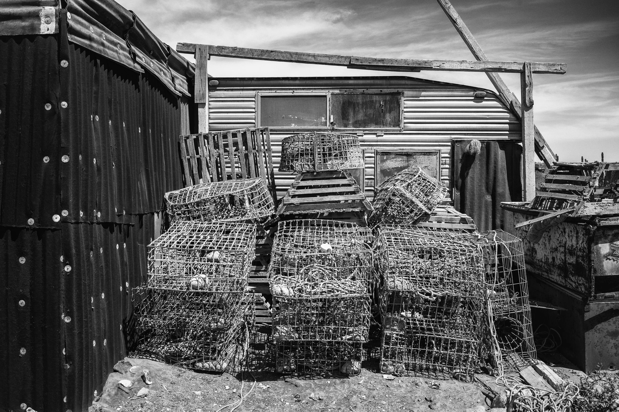 2009 Mexico | Baja Shark Fishing Camp