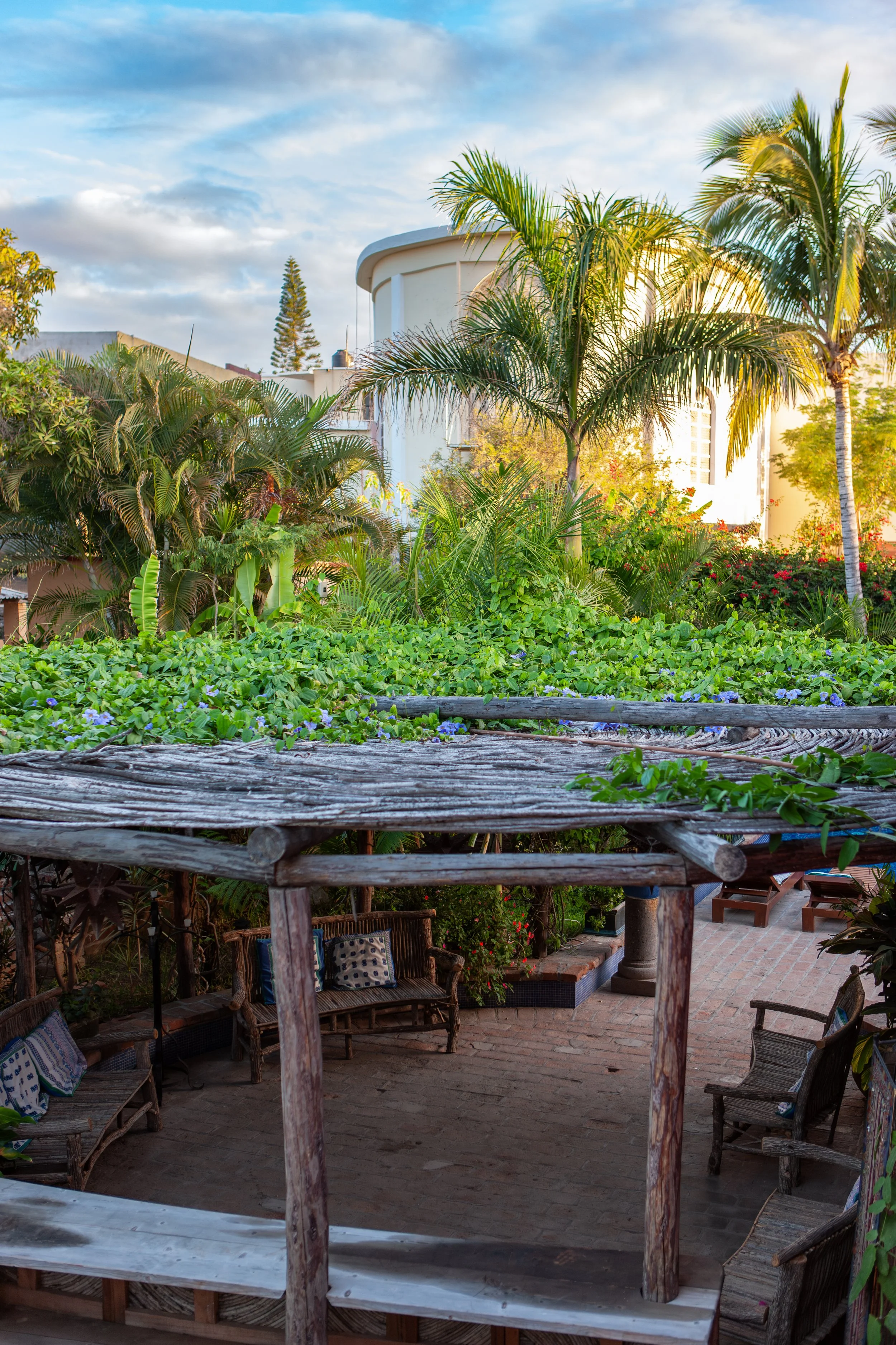 2008 Mexico | Todos Santos