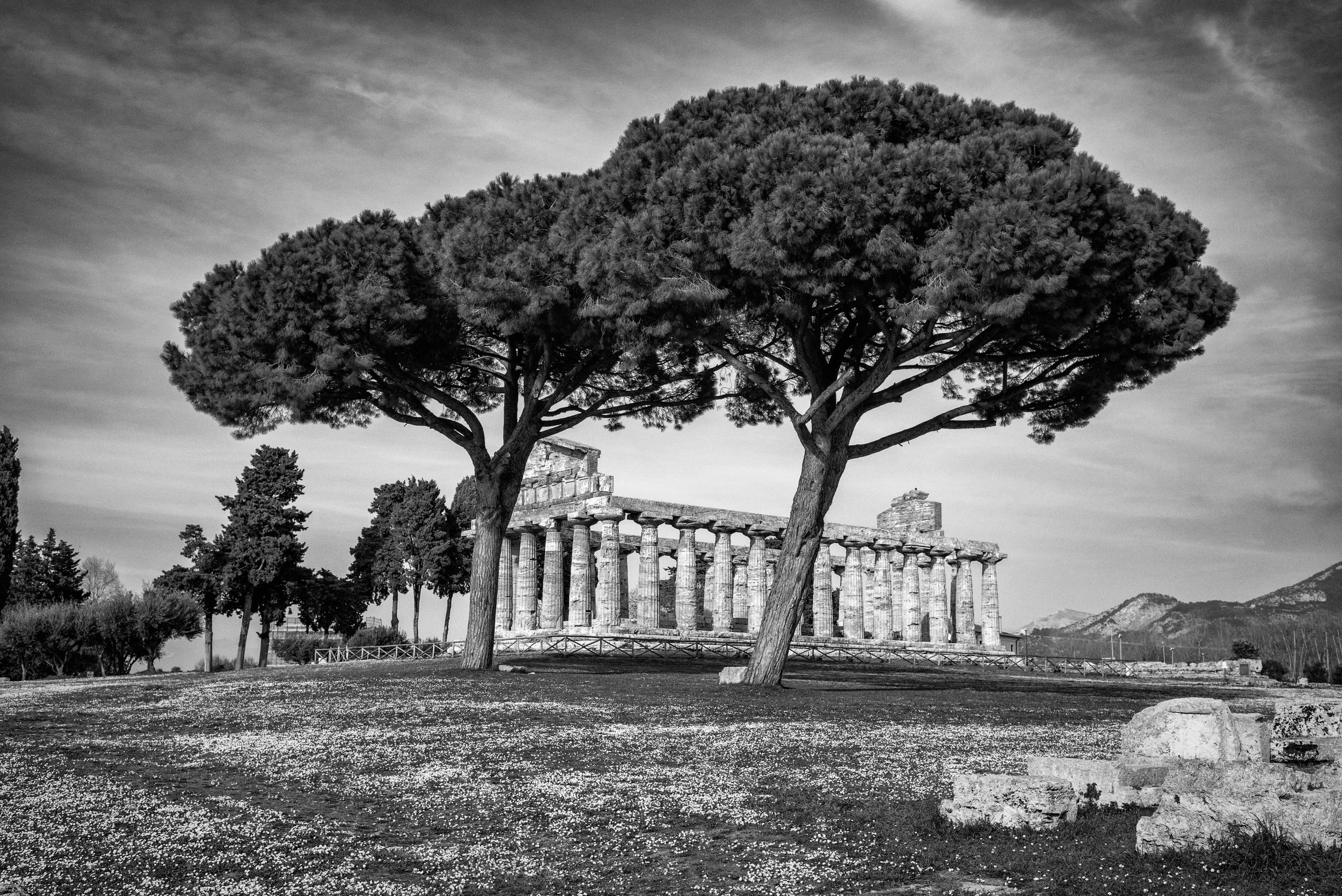 2022 Italy | Paestum
