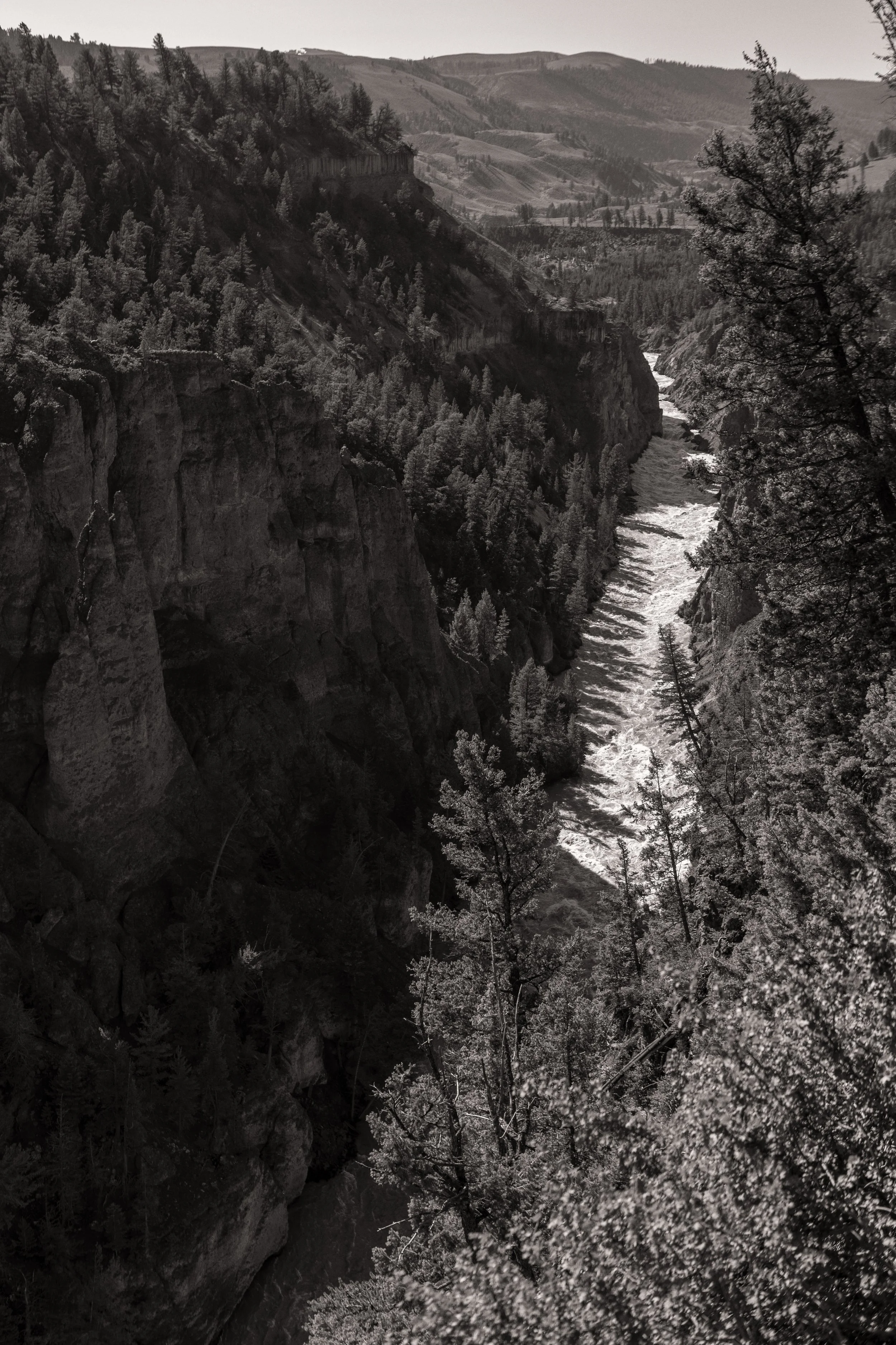 2011 Wyoming | Yellowstone