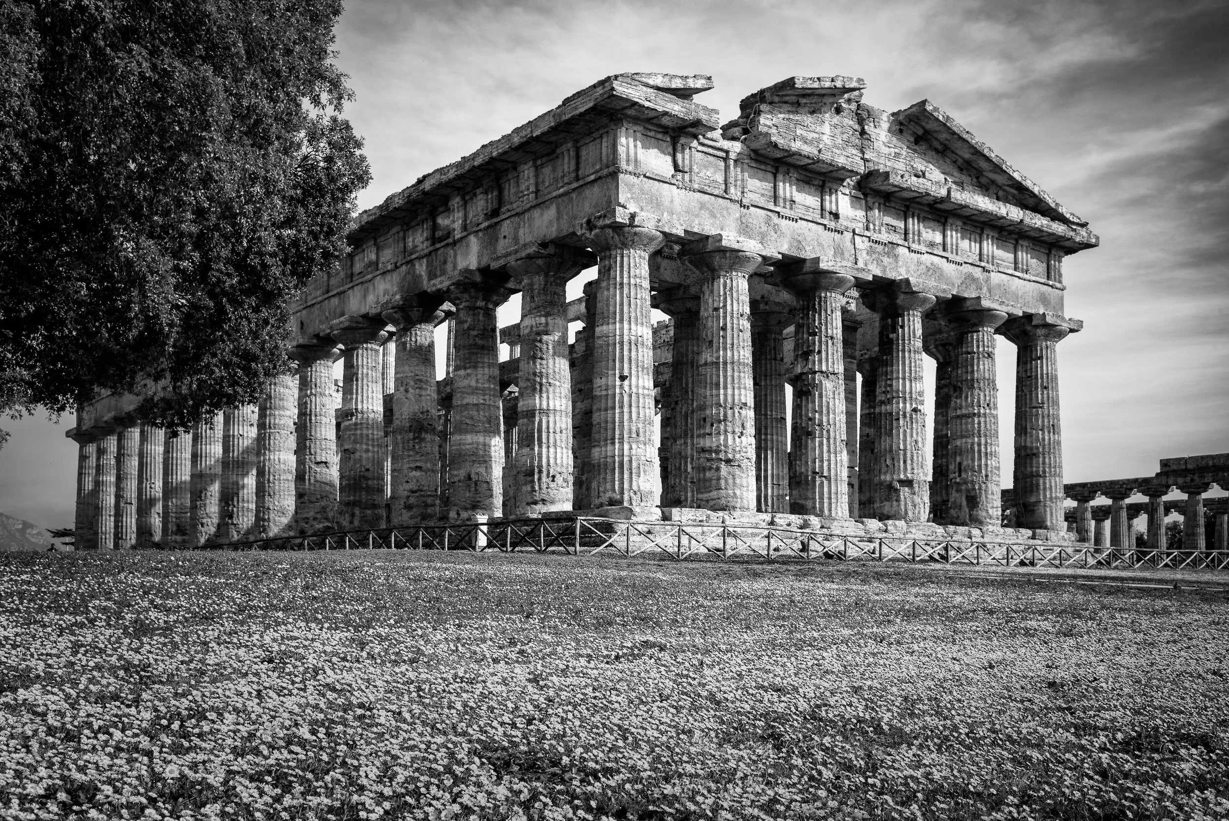 2022 Italy | Paestum