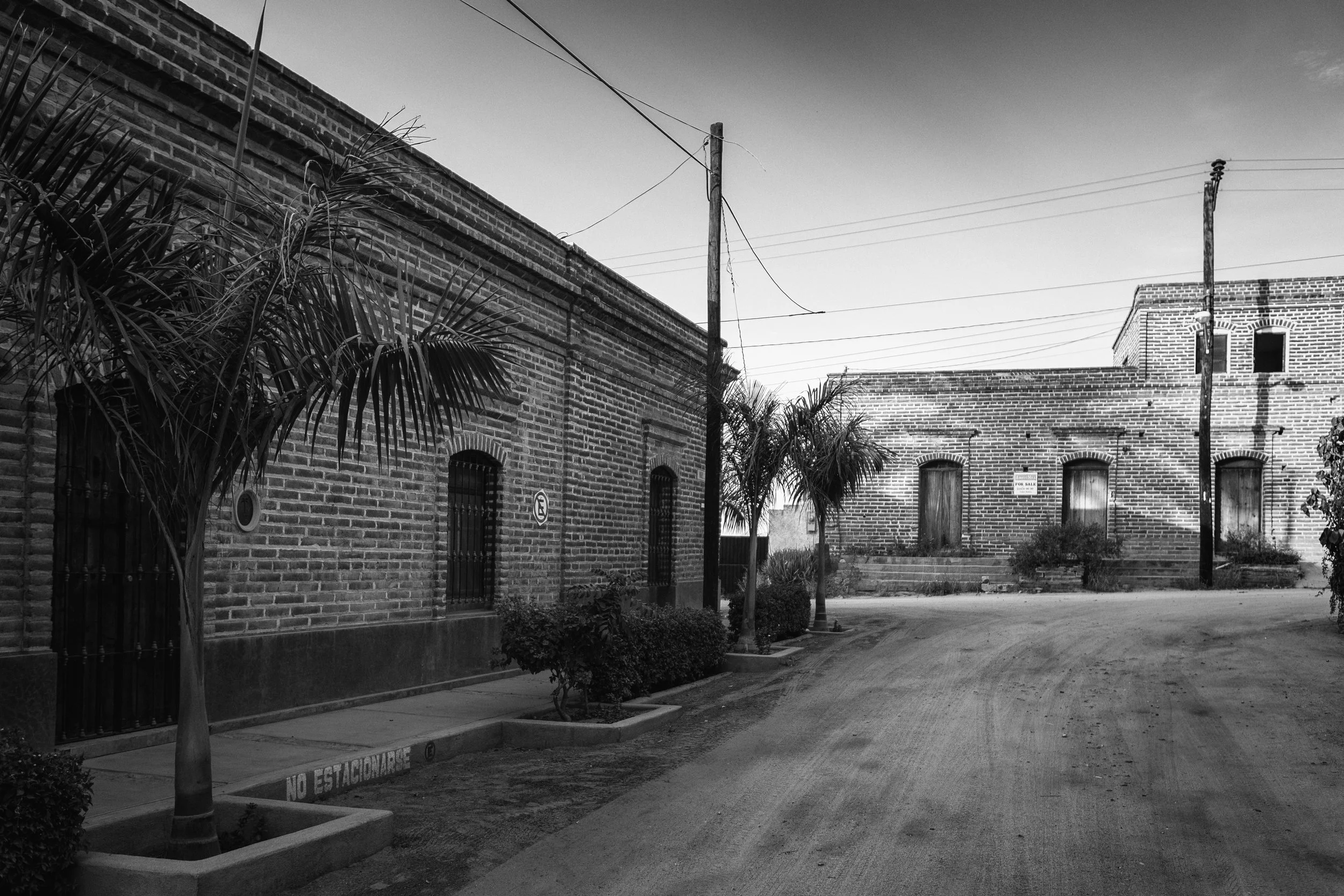 2008 Mexico | Todos Santos