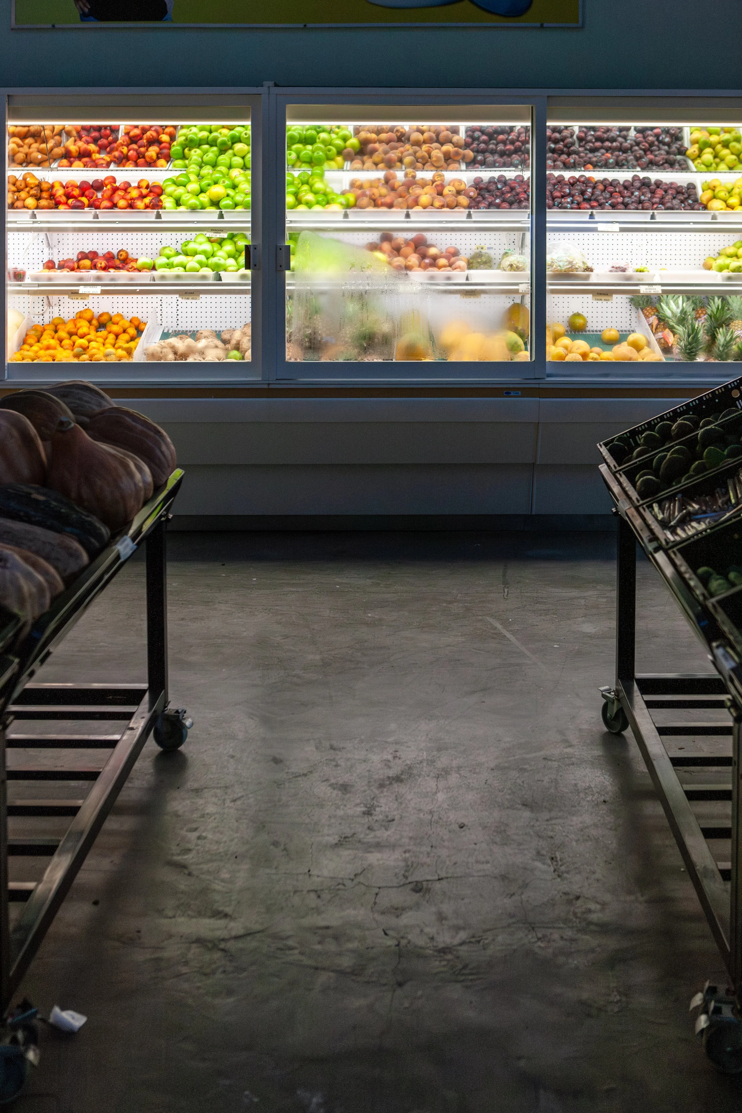 2008 Mexico | Todos Santos