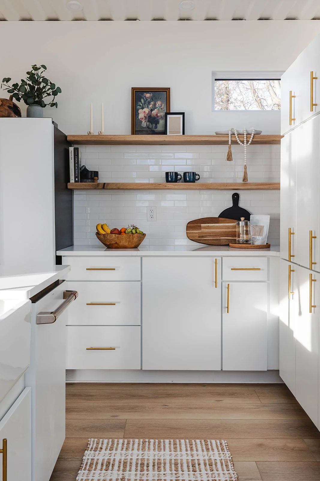 Muscle Island-Nov2024-3_websize.jpg