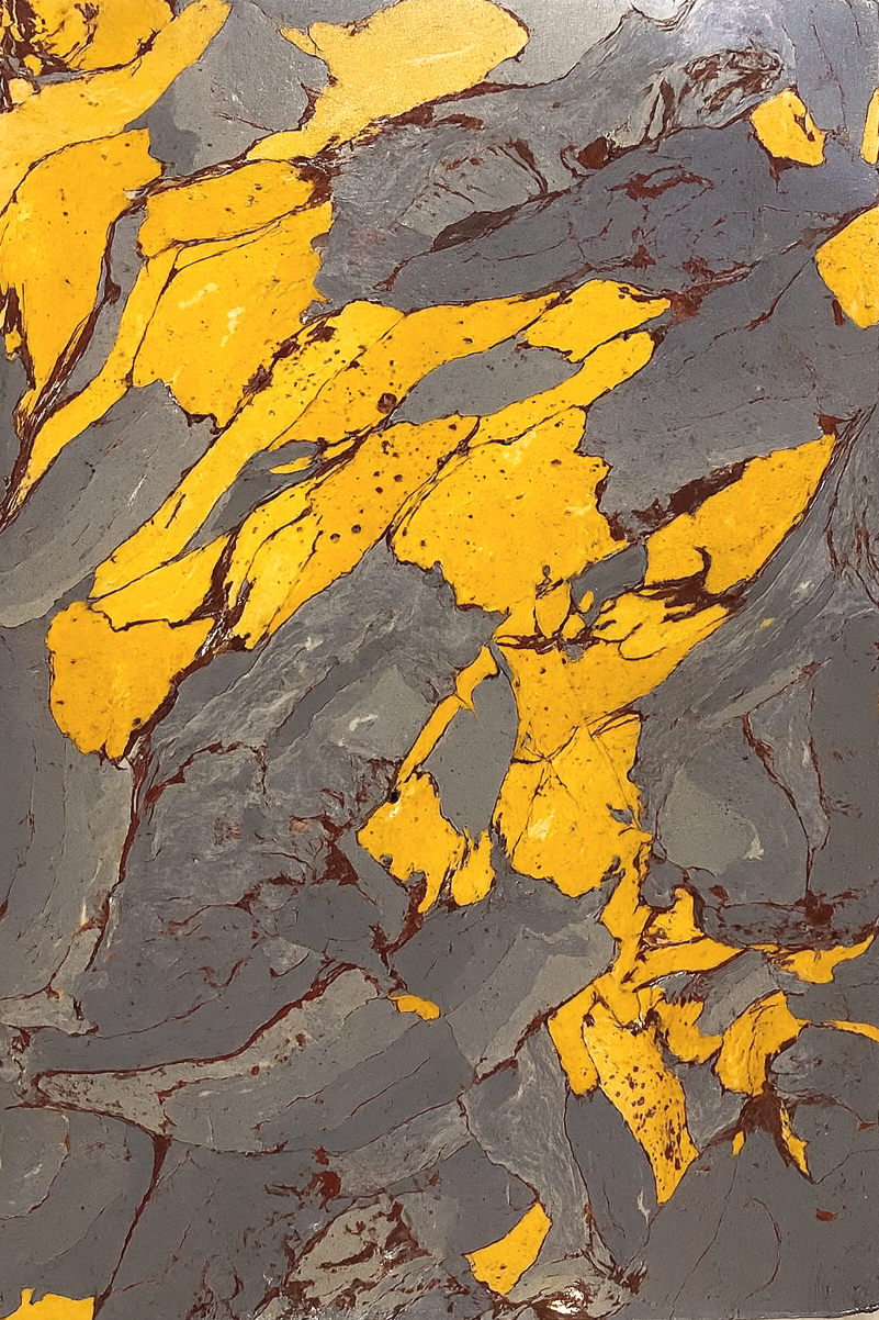 Close-up of a textured surface with gray and yellow mineral patterns, resembling a mineral or rock formation.