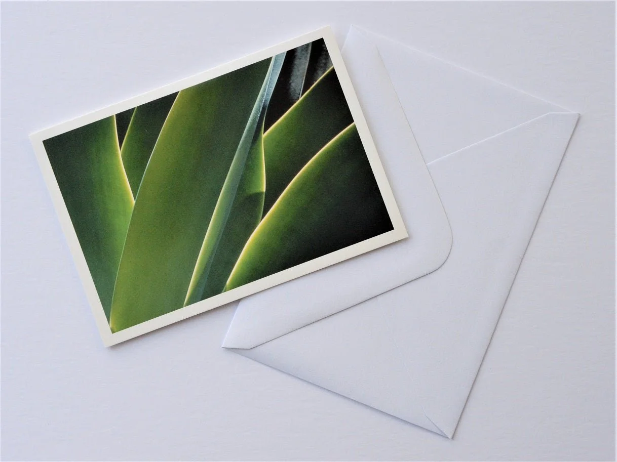 Agave Leaf Forms Zimbabwe greetings card shown at an angle with its white envelope