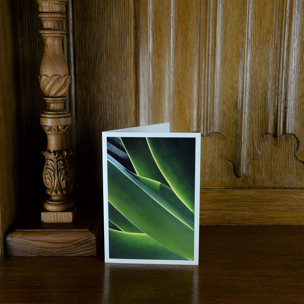 Agave Leaf Forms Zimbabwe greetings card standing on a wooden mantelpiece