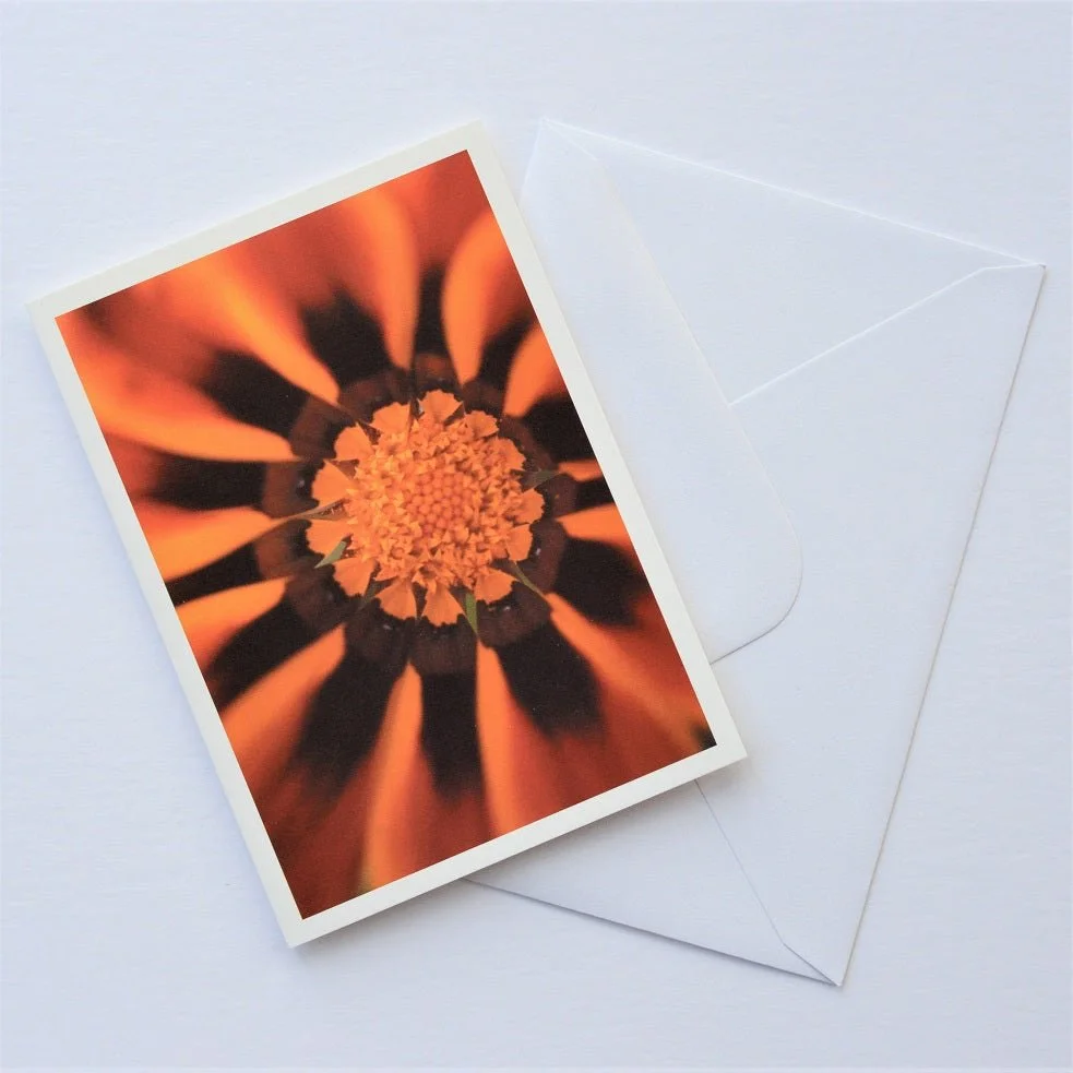 Jean Powell Gazania greetings card shown at an angle with its white envelope