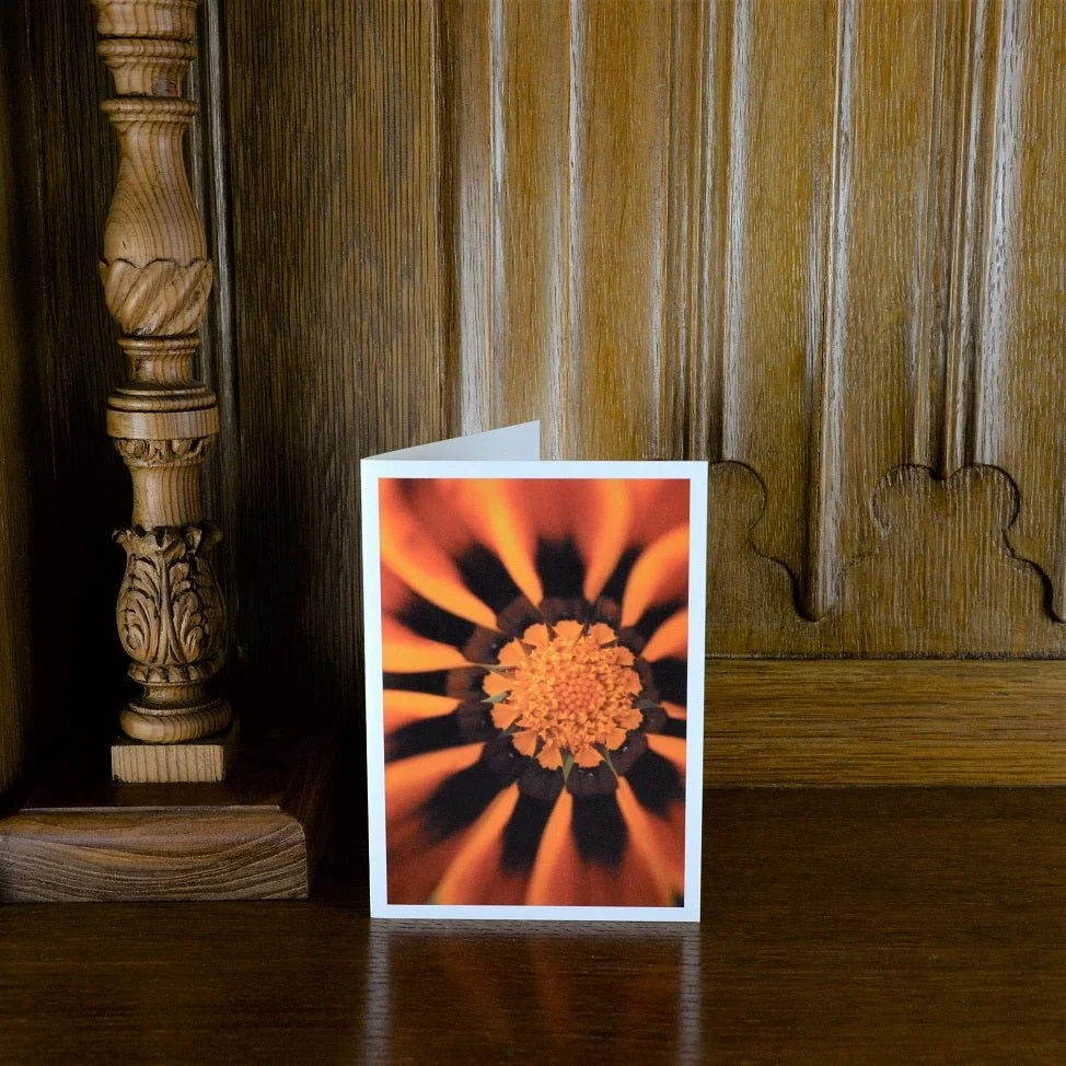 Jean Powell Gazania greetings card standing on a wooden mantelpiece