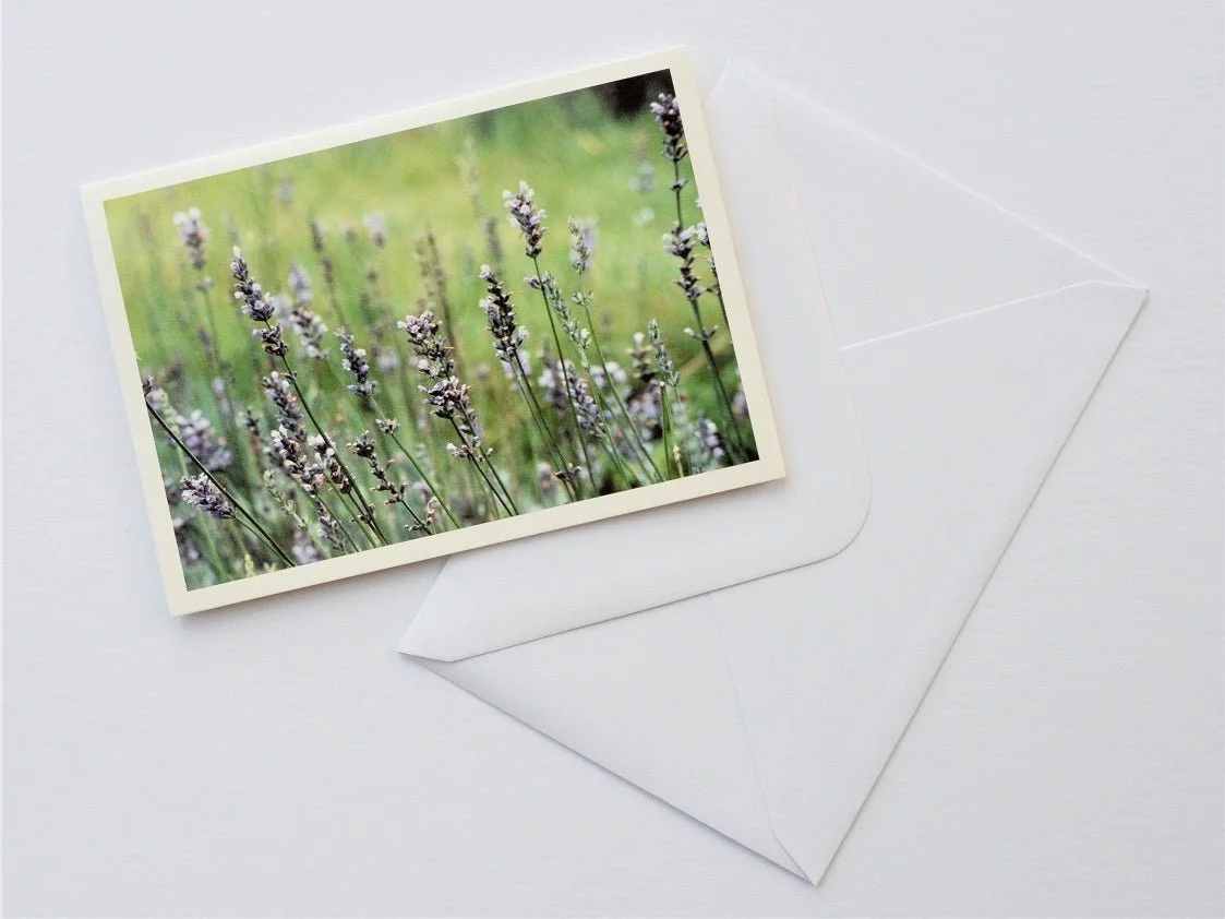 Dargle Lavender Farm greetings card shown at an angle with its white envelope