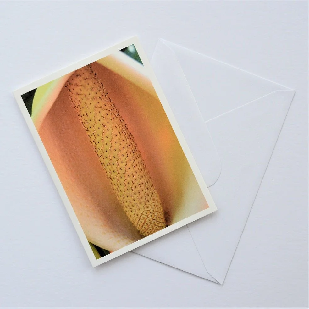 Delicious Monster Fruit of Gauteng greetings card shown at an angle with its white envelope