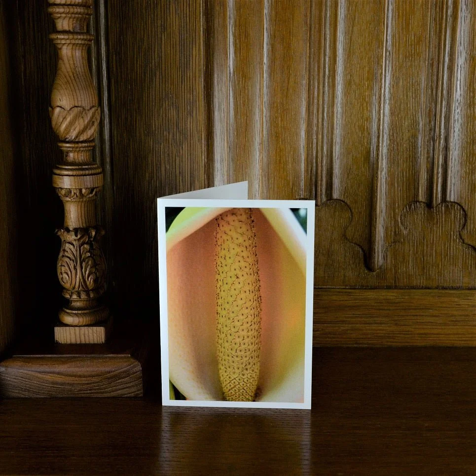 Delicious Monster Fruit of Gauteng greetings card standing on a wooden mantelpiece