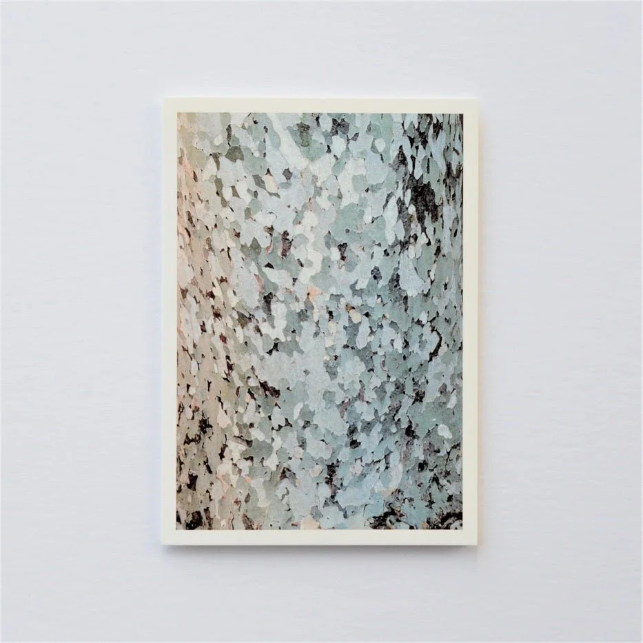 Ancona Plane Tree Bark of Italy greetings card, the mottled grey and cream bark of a plane tree