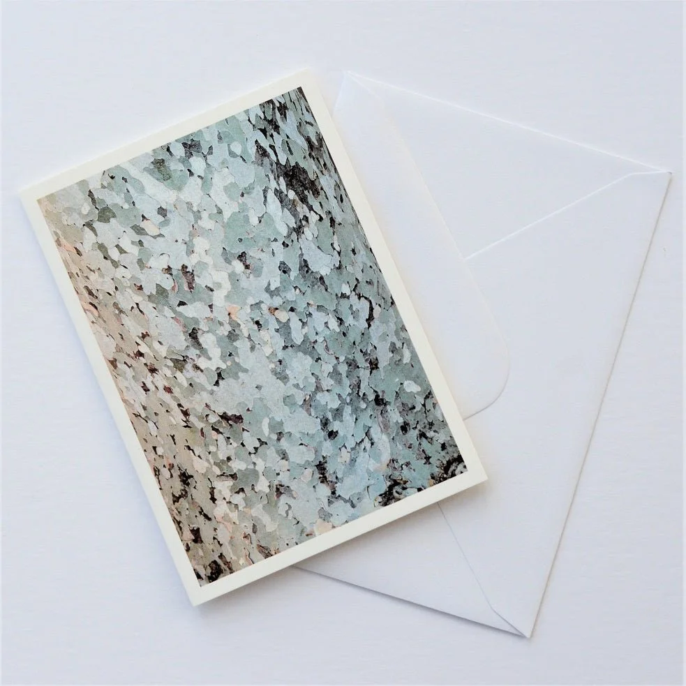 Ancona Plane Tree Bark of Italy greetings card shown at an angle with its white envelope