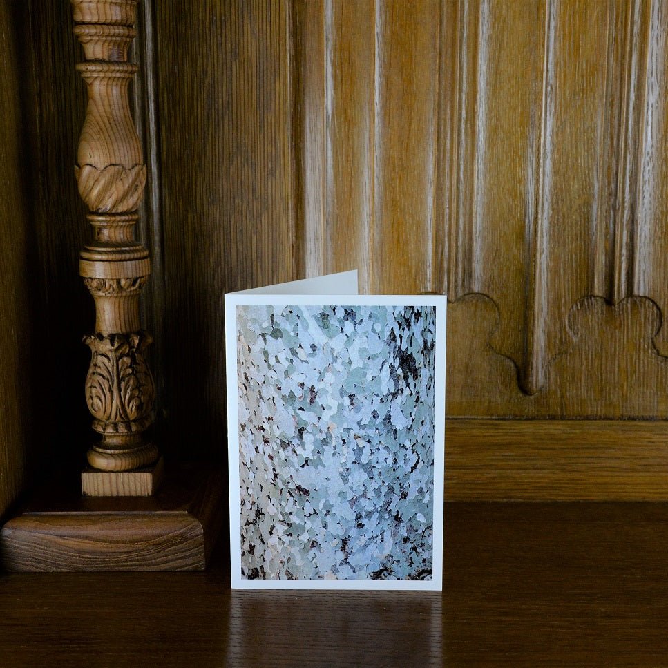 Ancona Plane Tree Bark of Italy greetings card standing on a wooden mantelpiece