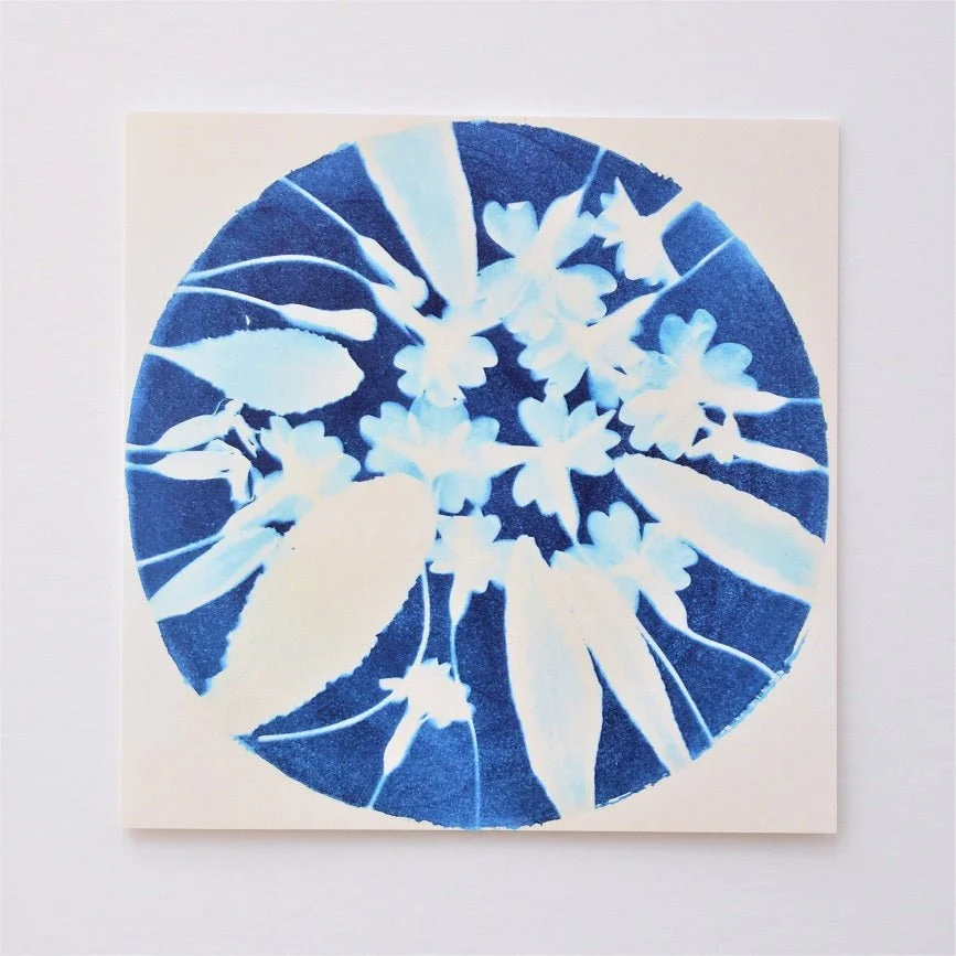 Spring is Early greetings card, a circular blue cyanotype print of spring flowers and grasses