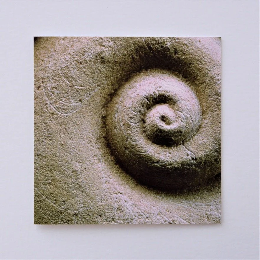 Spiralmoon greetings card, a photograph of the carved Spiralmoon relief in a mossy stone finish