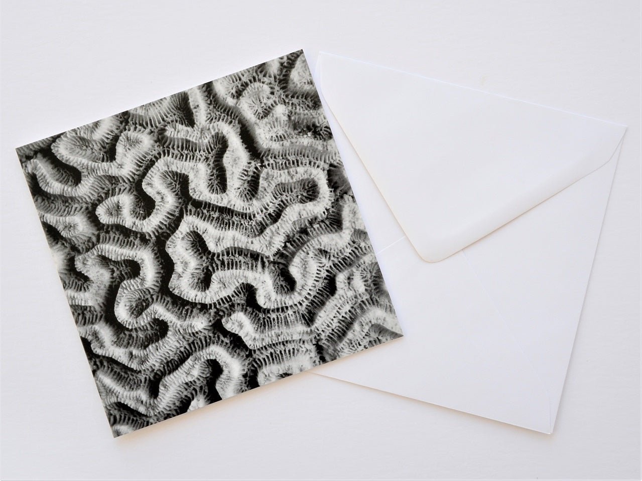 Brain Coral Maze Pattern greetings card shown at an angle with its white envelope