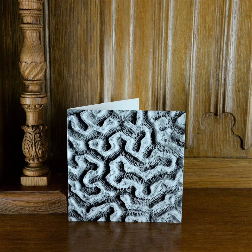 Brain Coral Maze Pattern greetings card standing on a wooden mantelpiece