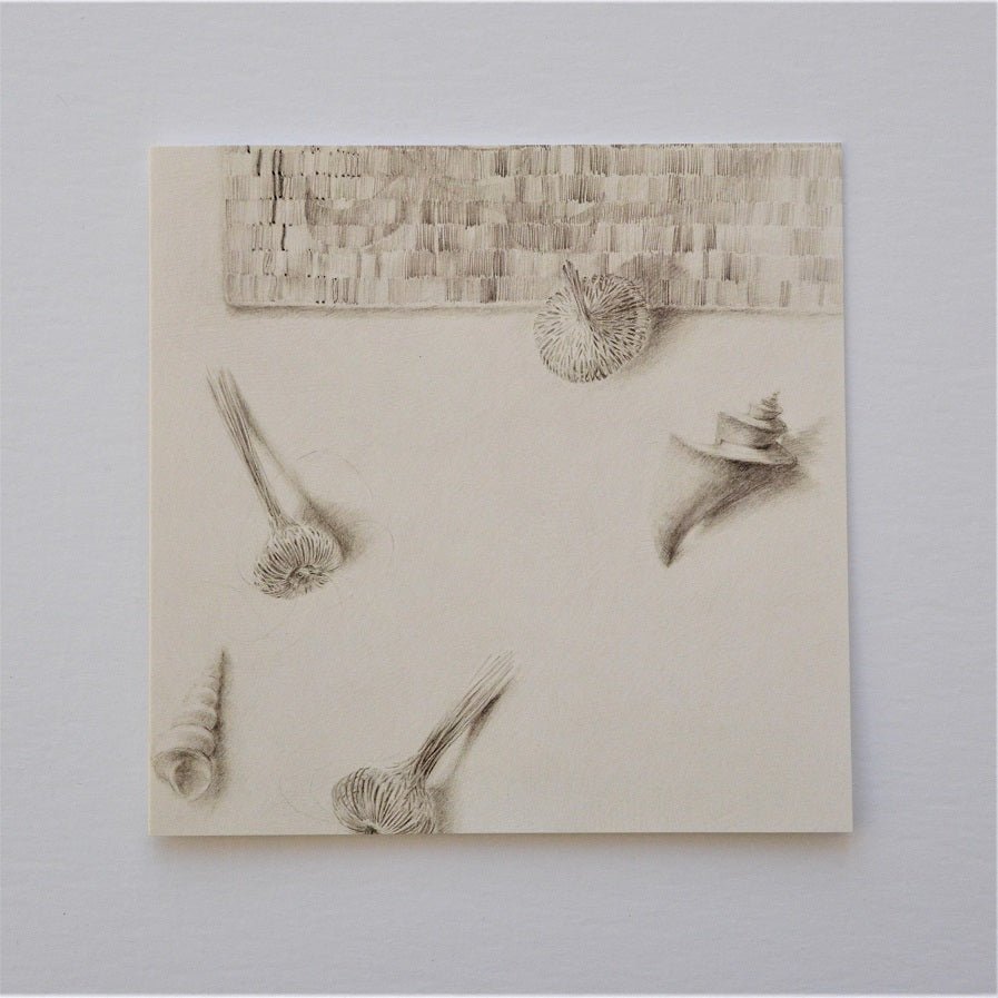 Woven Watsonia Shells greetings card, pencil studies of watsonia seed pods above a woven band