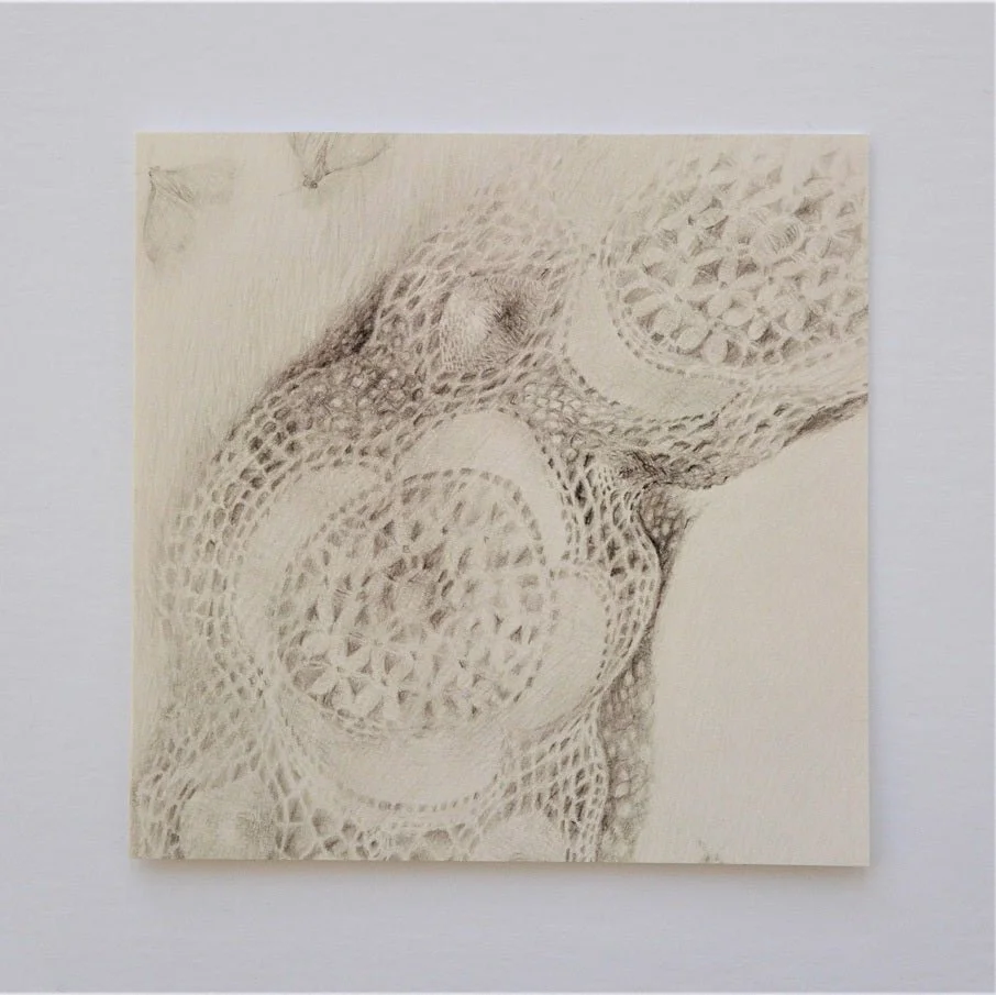 Lace Moth Shadows greetings card, a pencil drawing of a moth resting on circular lace