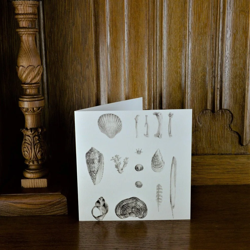 Beautiful Natural History greetings card standing on a wooden mantelpiece