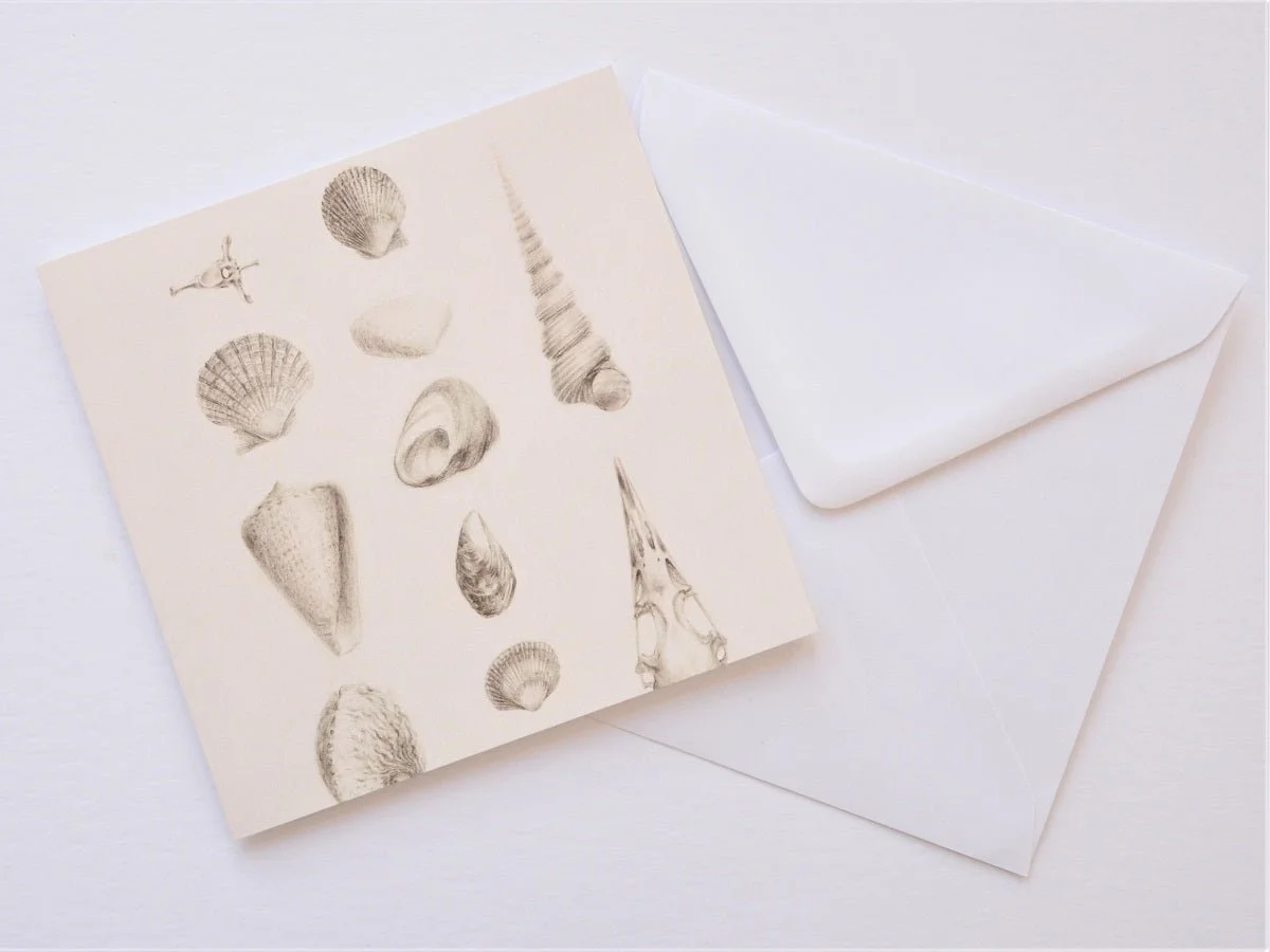 Splendid Natural History greetings card shown at an angle with its white envelope