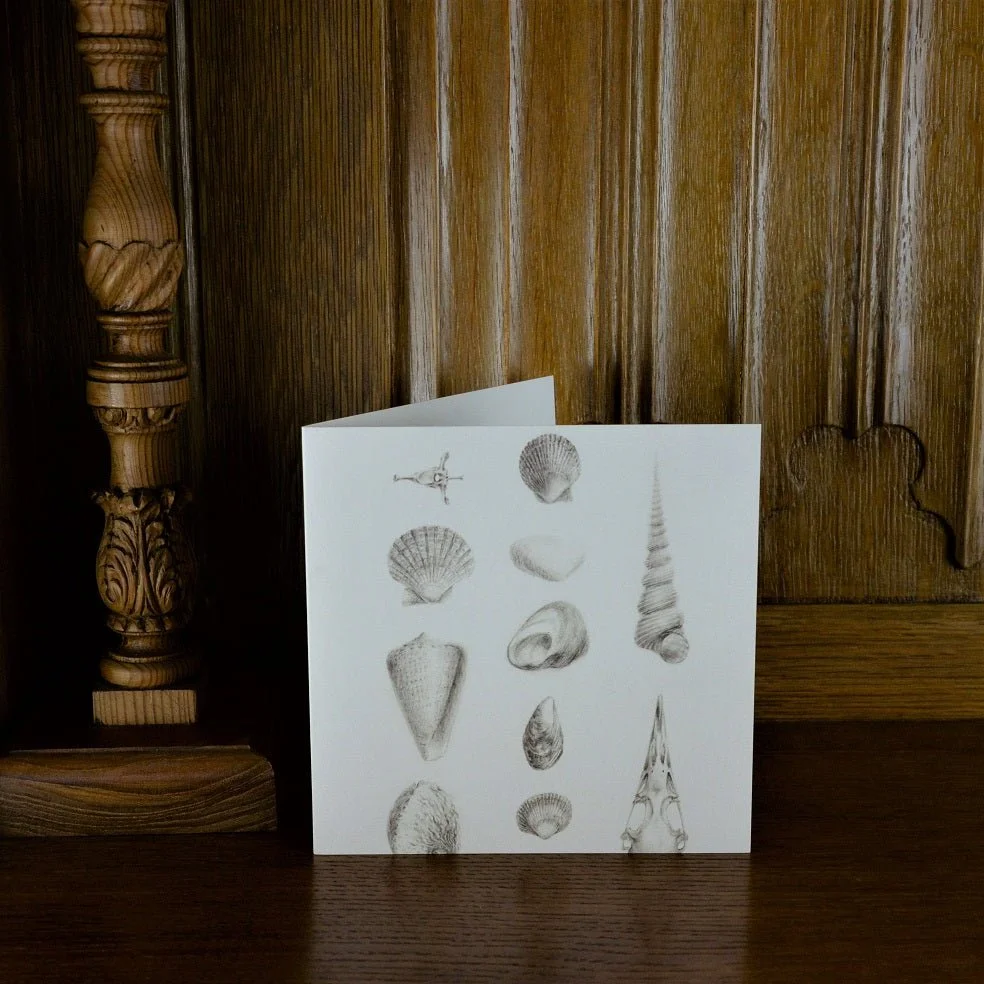 Splendid Natural History greetings card standing on a wooden mantelpiece