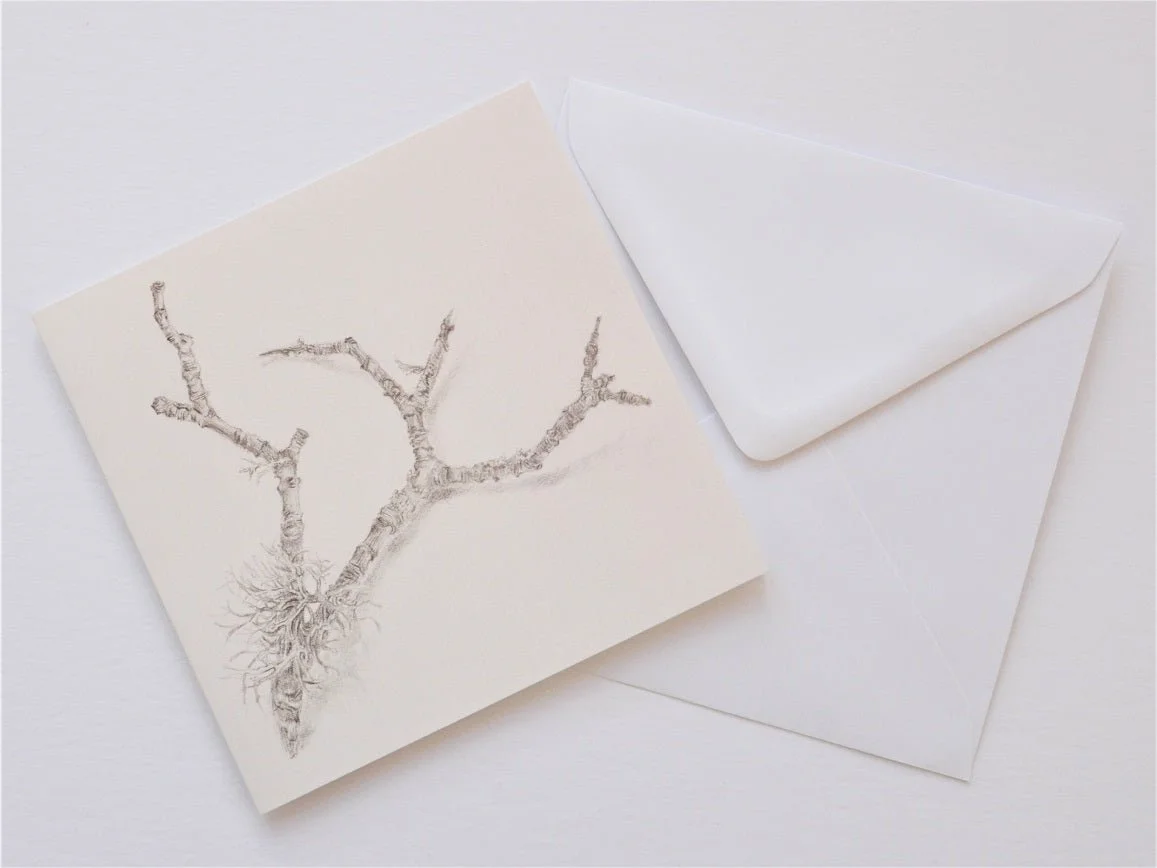 Ecology of a Twig greetings card shown at an angle with its white envelope