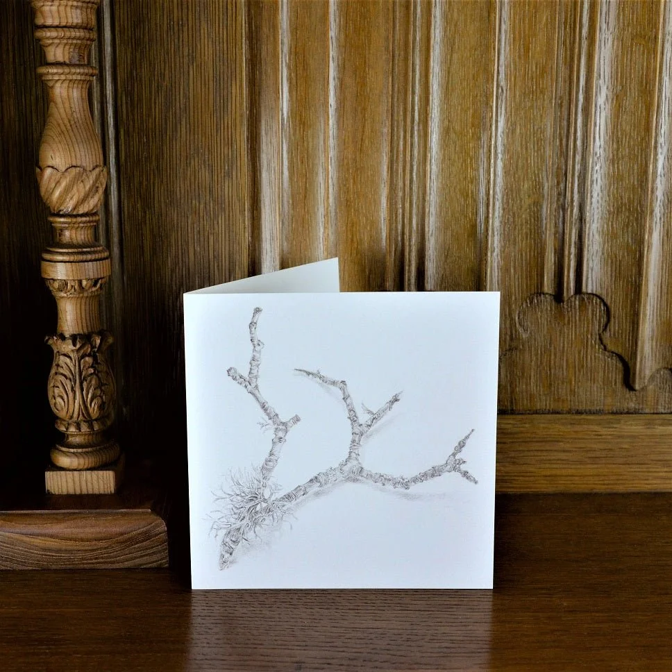 Ecology of a Twig greetings card standing on a wooden mantelpiece