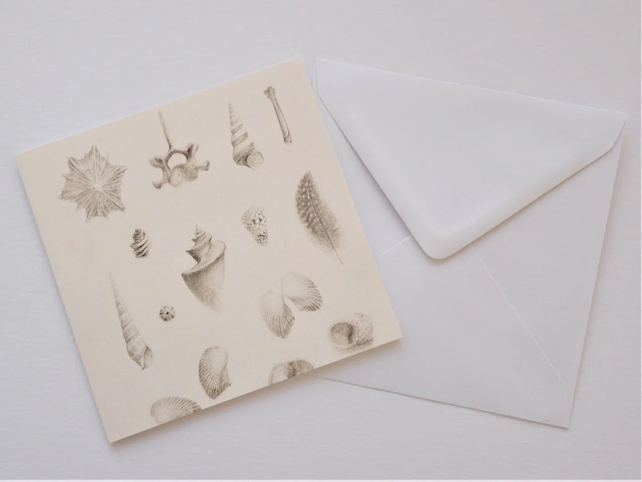 Magnificent Natural History greetings card shown at an angle with its white envelope