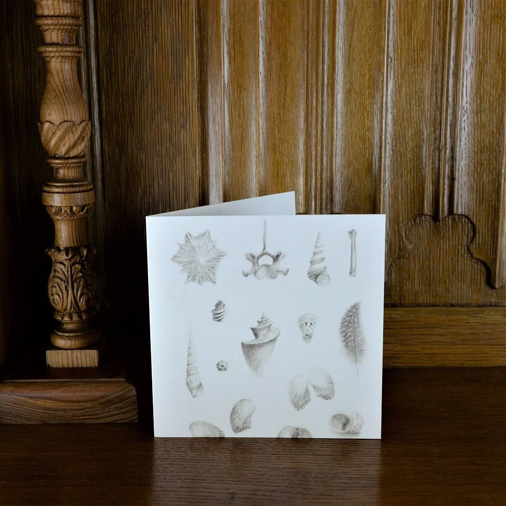 Magnificent Natural History greetings card standing on a wooden mantelpiece