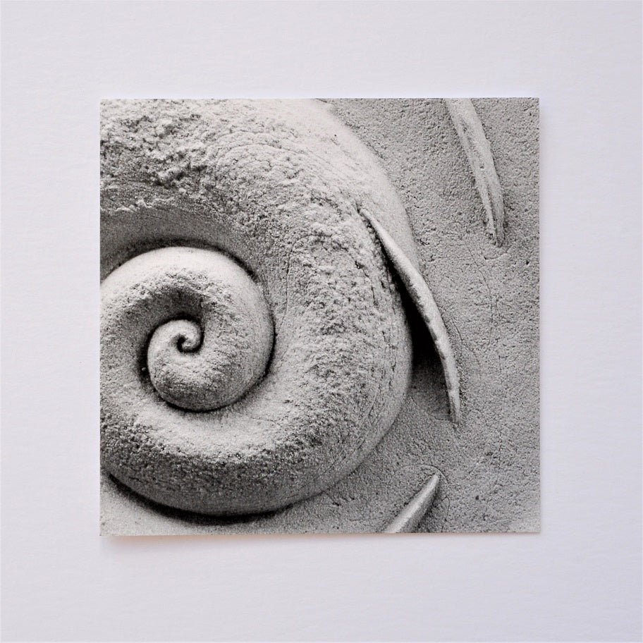 Spiralfish Wave and Tide greetings card, a photograph of the carved stone spiral and fin relief