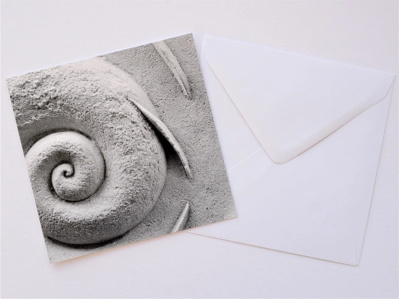 Spiralfish Wave and Tide greetings card shown at an angle with its white envelope