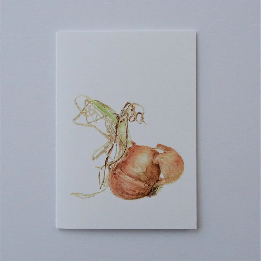 Sprouting Onion Shell vertical greetings card, a portrait format drawing of an onion with dried shoots