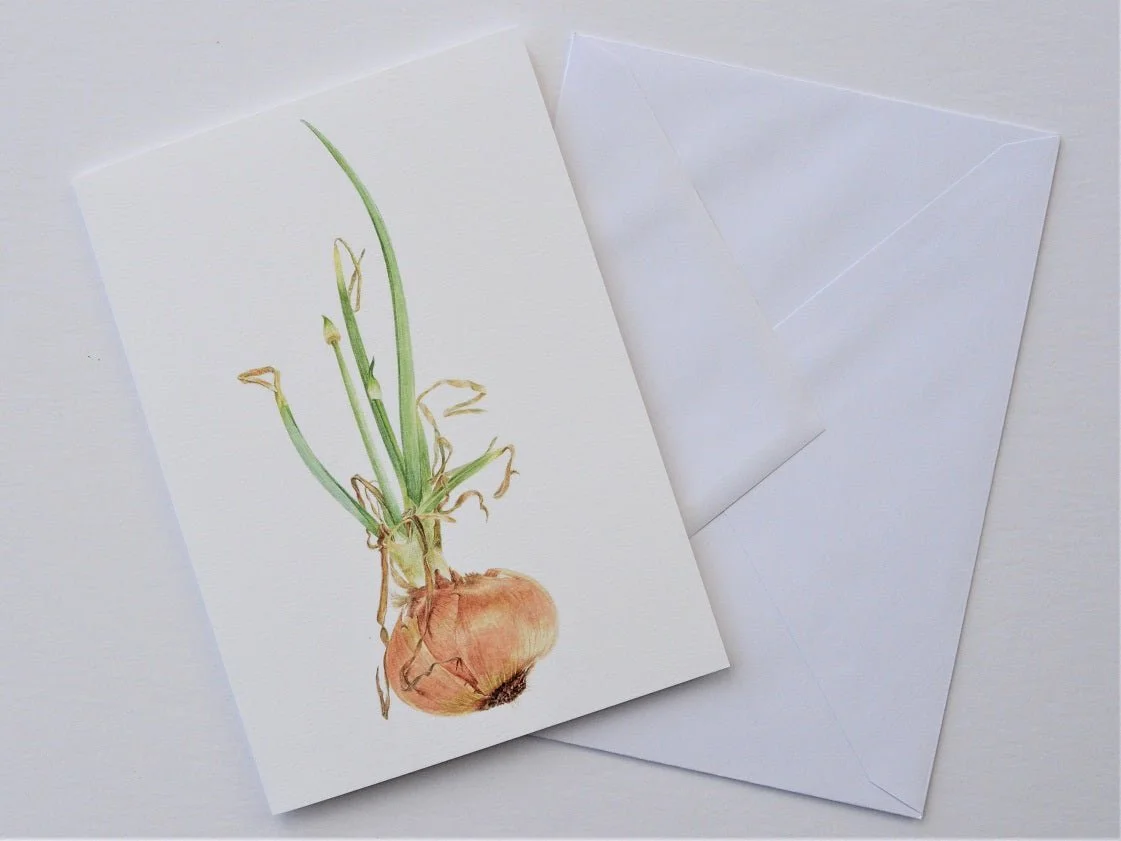 Sprouting Onion Beauty vertical greetings card shown at an angle with its white envelope