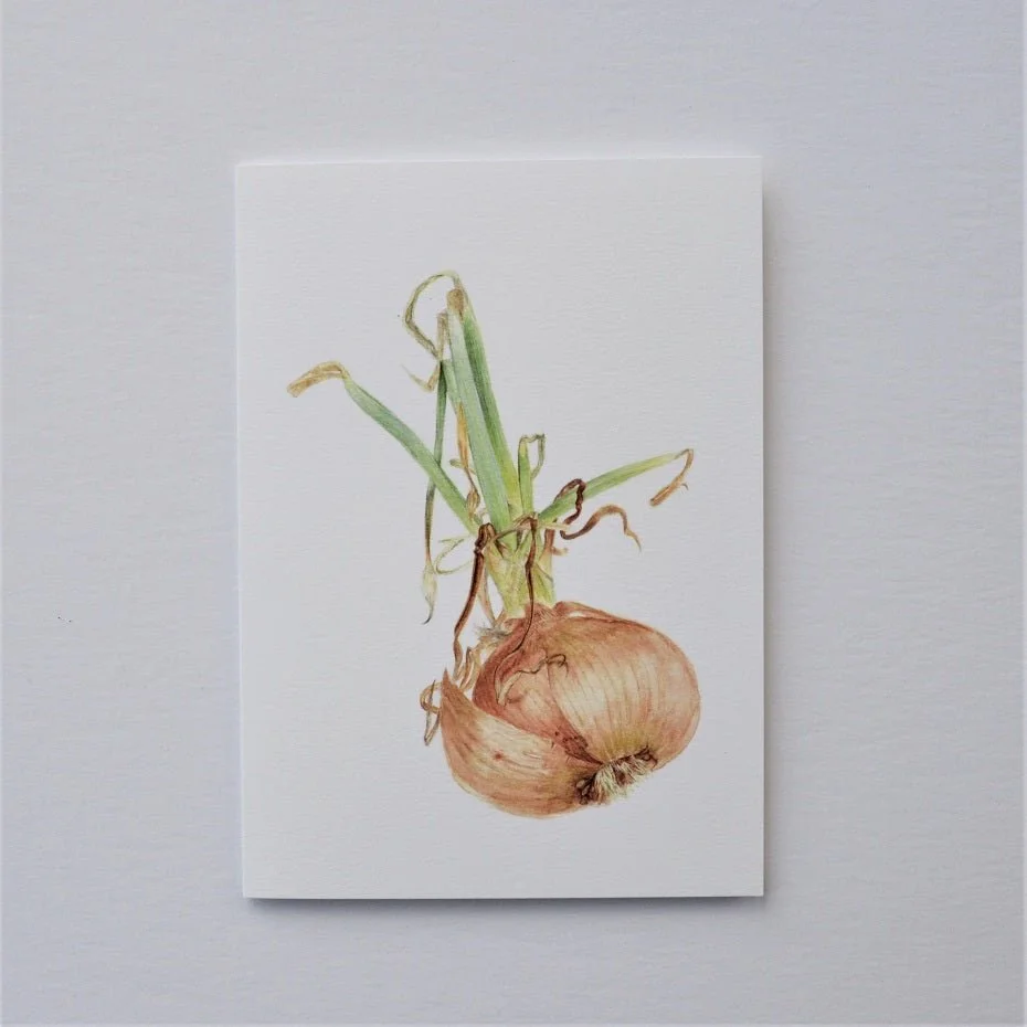 Sprouting Onion Roots vertical greetings card, a portrait format drawing of an onion with its roots