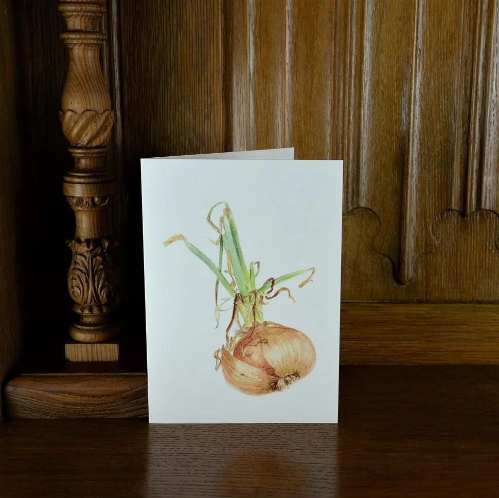 Sprouting Onion Roots vertical greetings card standing on a wooden mantelpiece
