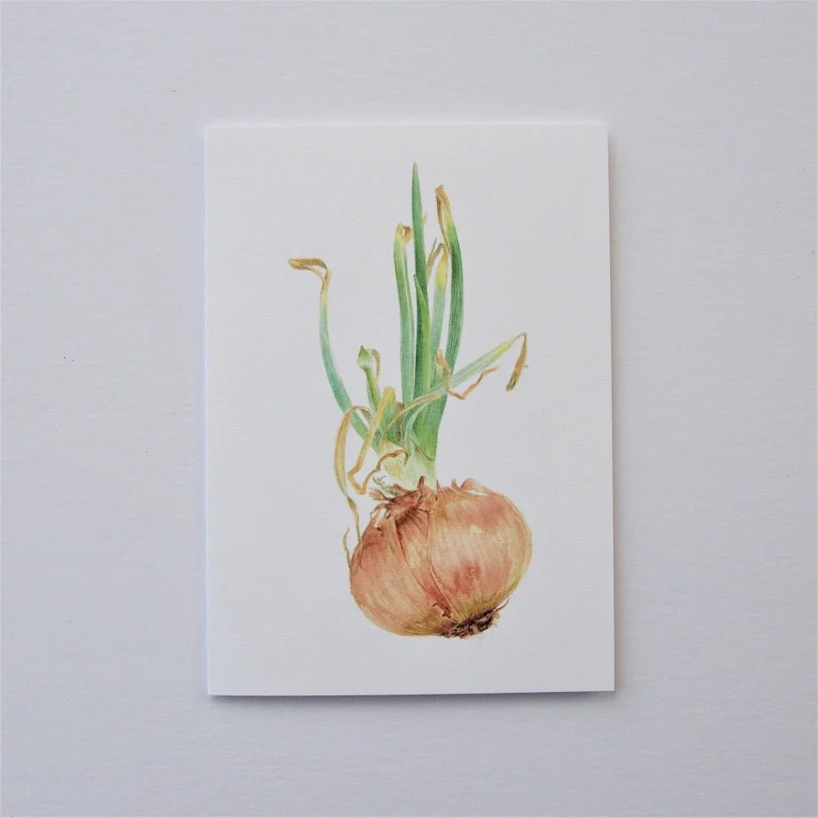 Sprouting Onion Flower Bud vertical greetings card, a portrait format drawing of an onion in flower bud