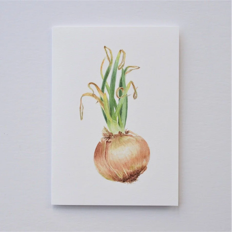 Sprouting Onion Green vertical greetings card, a portrait format drawing of an onion with green shoots