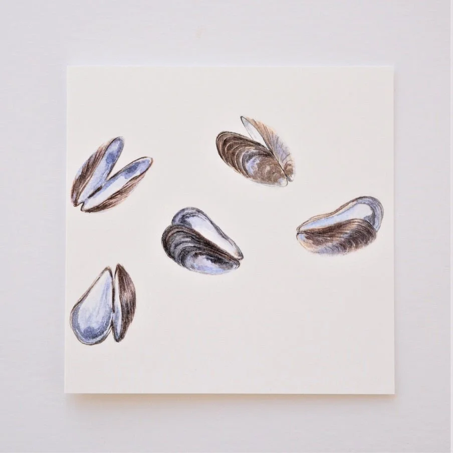 Mauve Mussels of the Sea greetings card, five painted mussel shells scattered on a cream ground