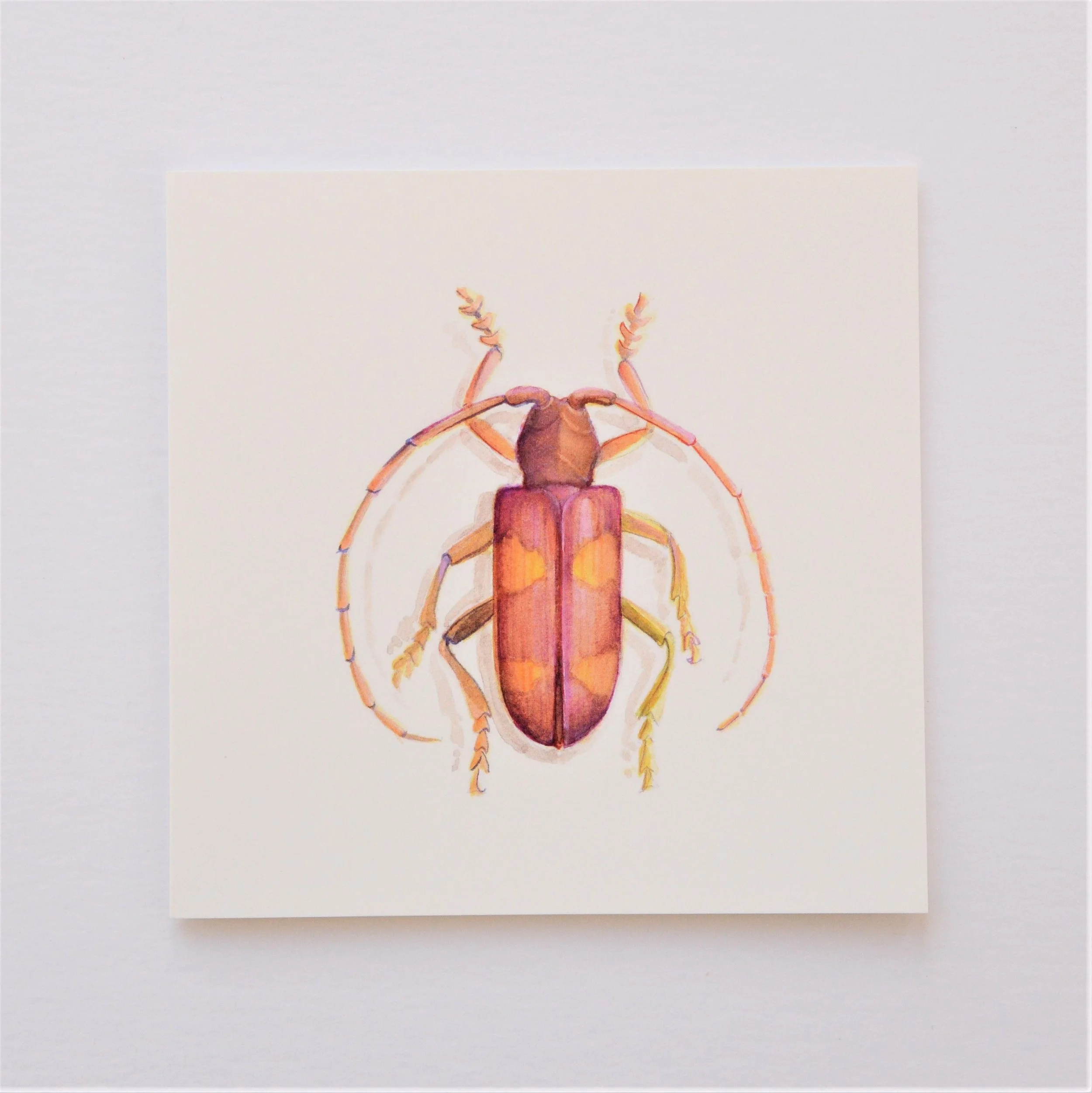Beetle in Pink greetings card, a long-horned beetle painted in pink and gold on a cream ground