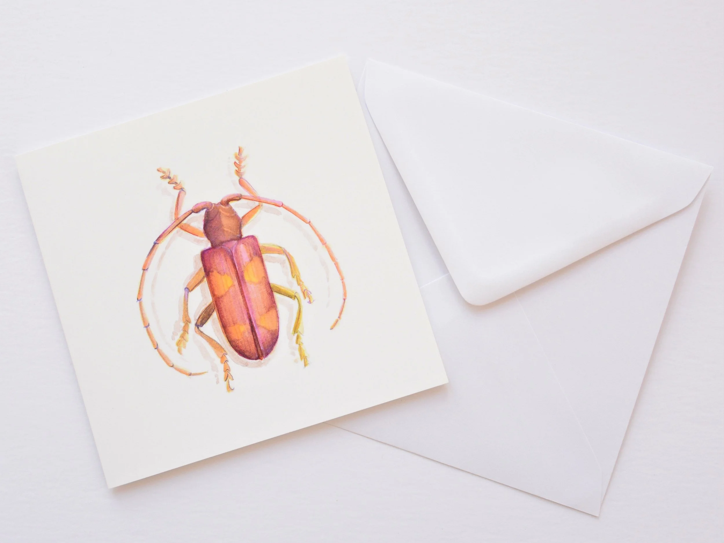 Beetle in Pink greetings card shown at an angle with its white envelope