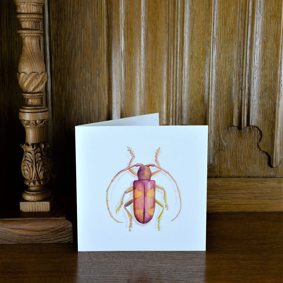 Beetle in Pink greetings card standing on a wooden mantelpiece