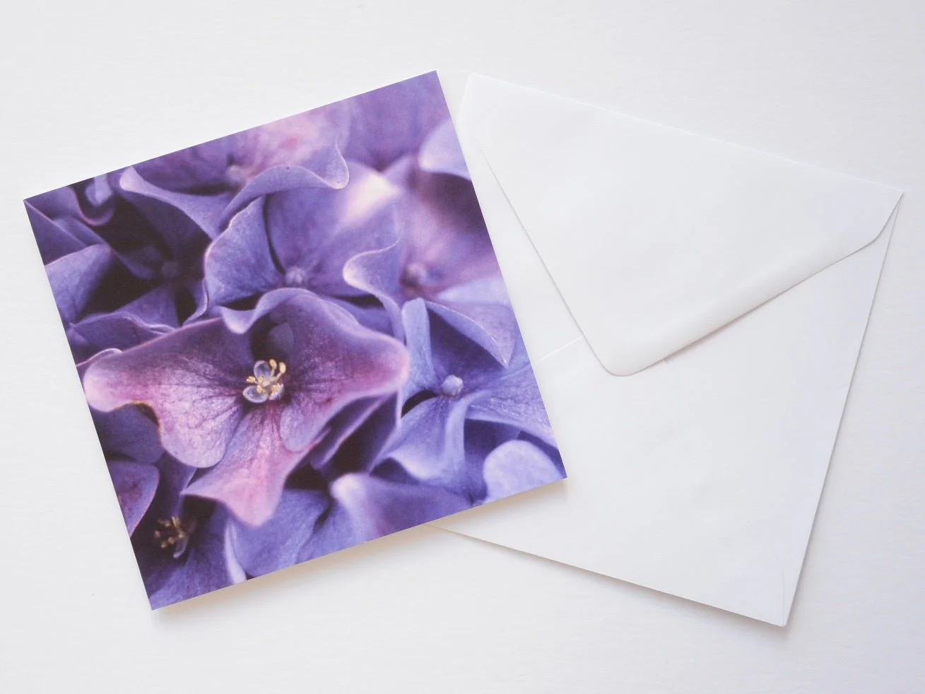 Hydrangea Purple Blue greetings card shown at an angle with its white envelope