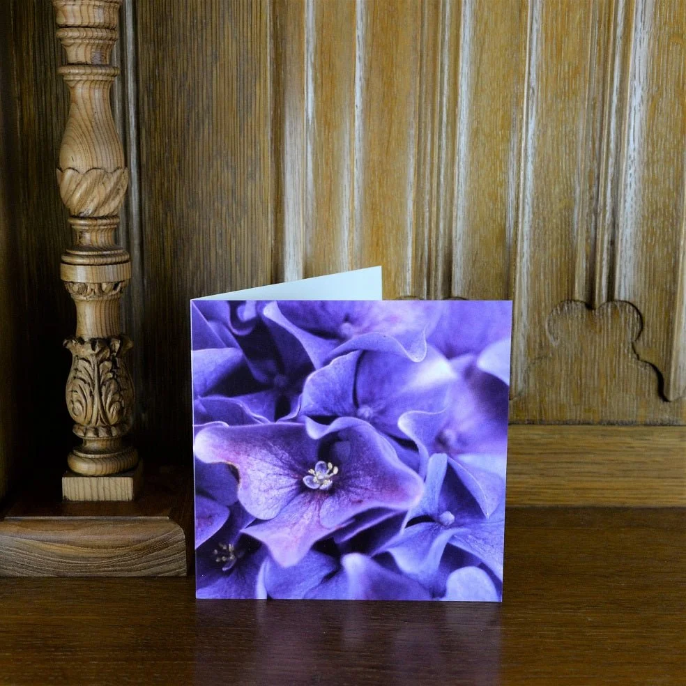 Hydrangea Purple Blue greetings card standing on a wooden mantelpiece