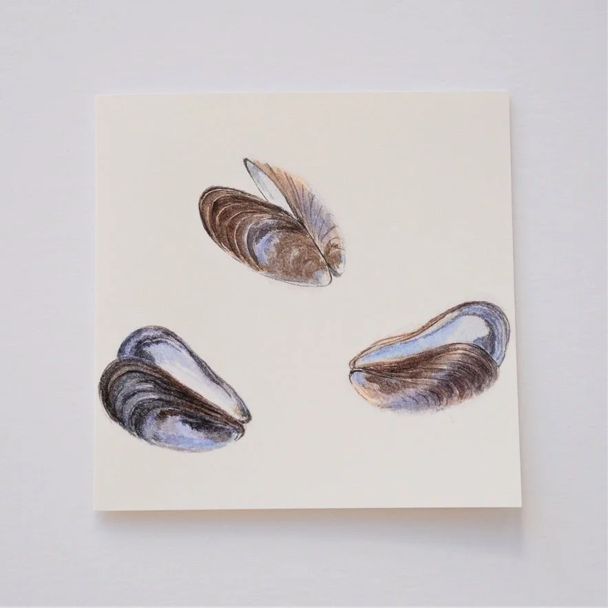 Mussel Mauves greetings card, three painted mussel shells in mauve and brown on a cream ground