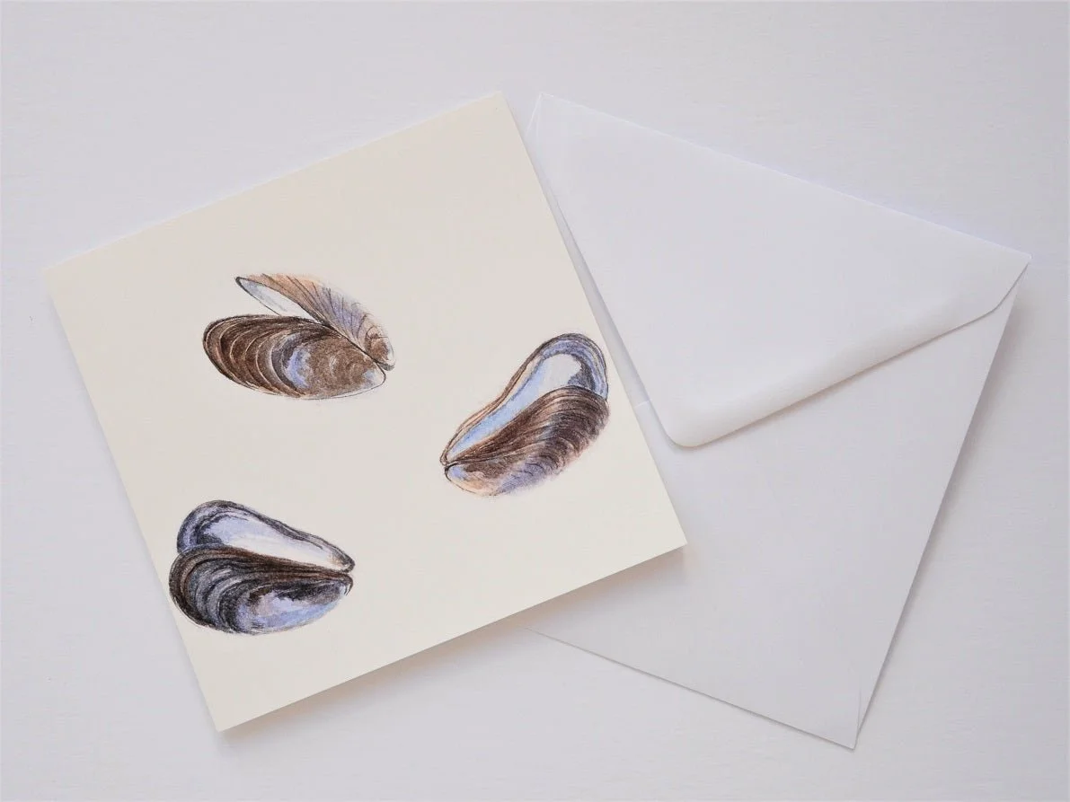 Mussel Mauves greetings card shown at an angle with its white envelope