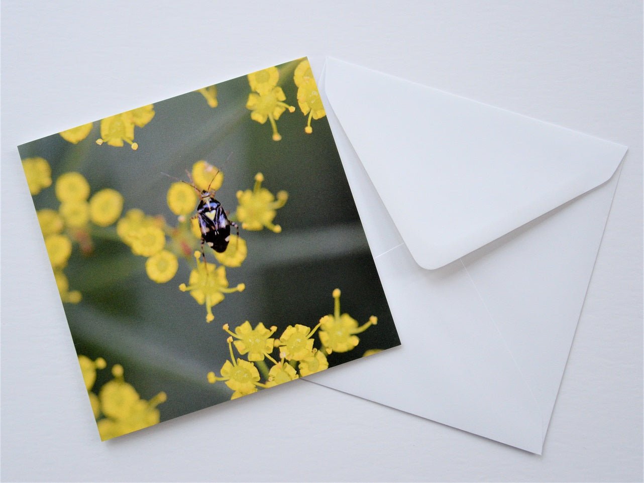 Beetle with a Heart greetings card shown at an angle with its white envelope