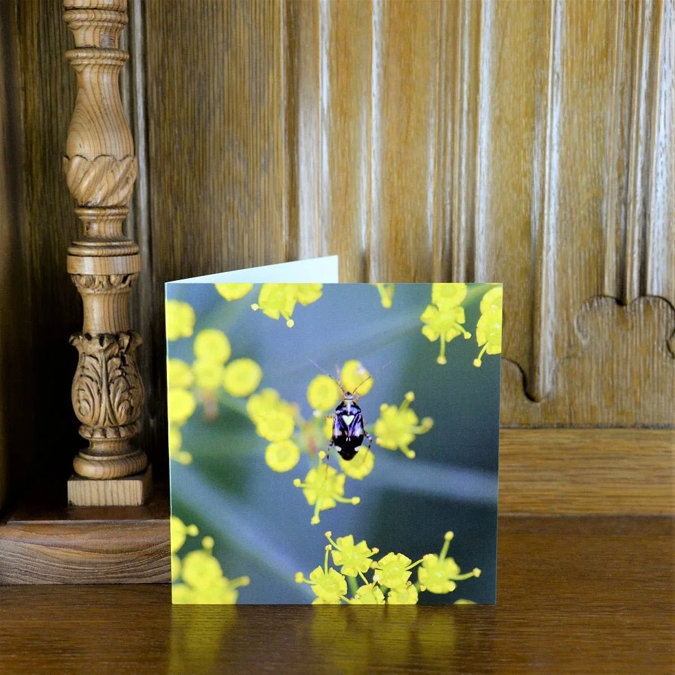 Beetle with a Heart greetings card standing on a wooden mantelpiece